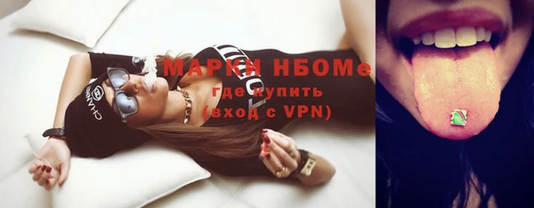ешки Гусь-Хрустальный