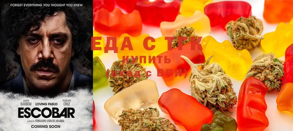 ешки Гусев